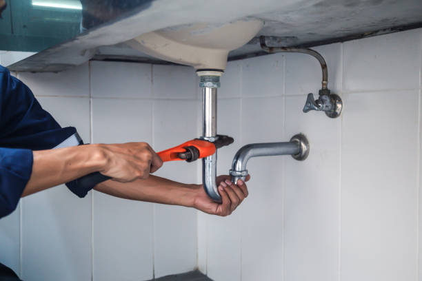Best Residential Plumbing Services  in Stevensville, MI
