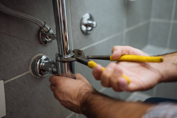 Best Emergency Plumber  in Stevensville, MI